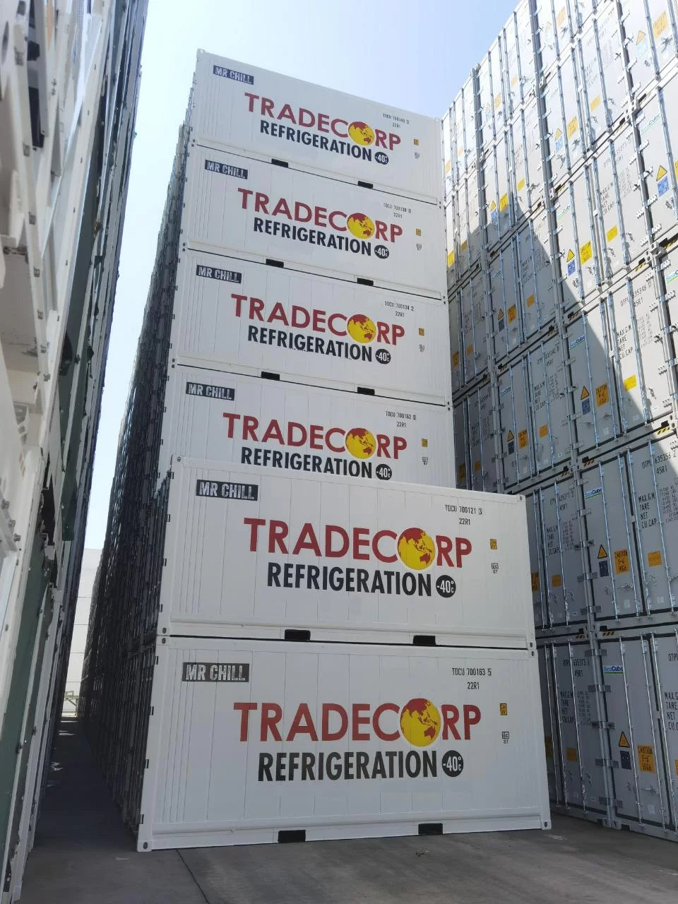 20′ Kühlcontainer – Thermo King Magnum+ – Image 2